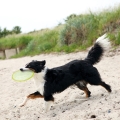 Bild 2 von Trixie TPR Dog Disc, schwimmfähig  / (Variante) 18 cm