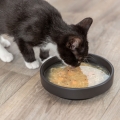 Bild 3 von Trixie Kittis Salmon Soup - 4 × 80 g