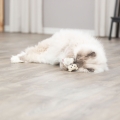 Bild 8 von Trixie Bär aus Stoff mit Catnip