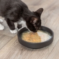 Bild 4 von Trixie Kittis Shrimp Soup - 4 × 80 g